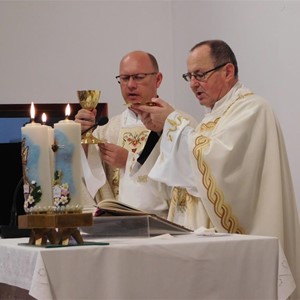 Proslavljeno proštenje Gospe Karmelske u Brezovici